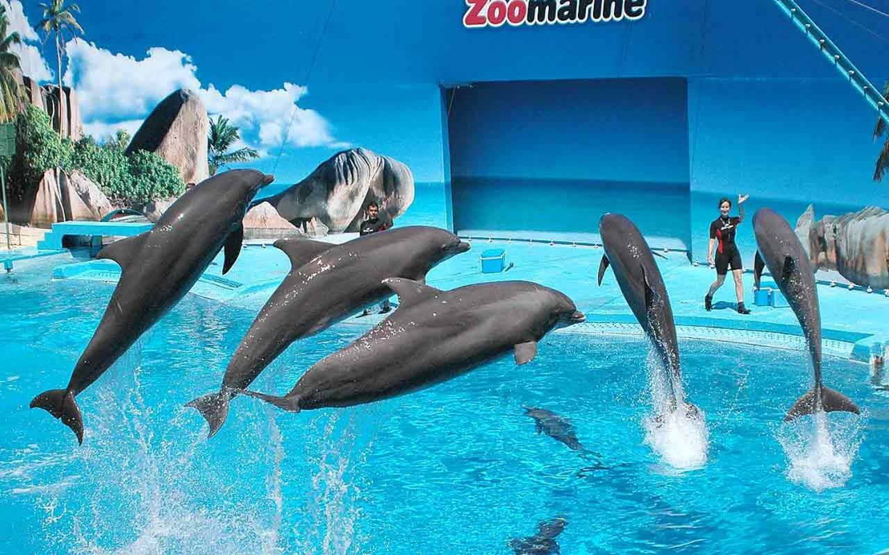 Ancora Na Praia Portimão Exteriör bild